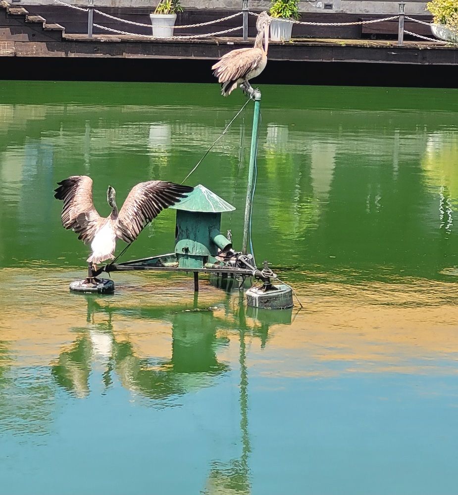 Photograph by Muhammed fazeel A.m.fazeel