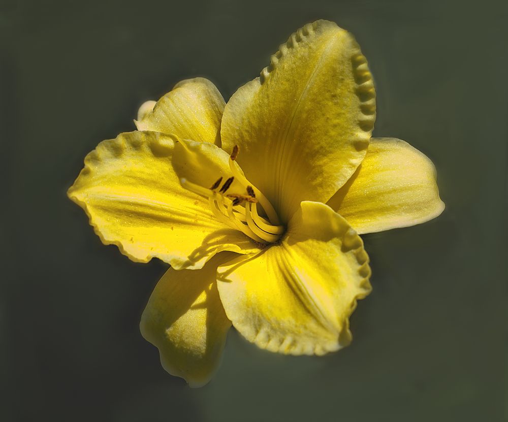 Photograph by Ирина Бабенкова