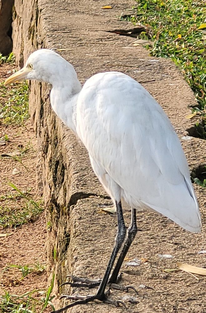 Photograph by Muhammed fazeel A.m.fazeel