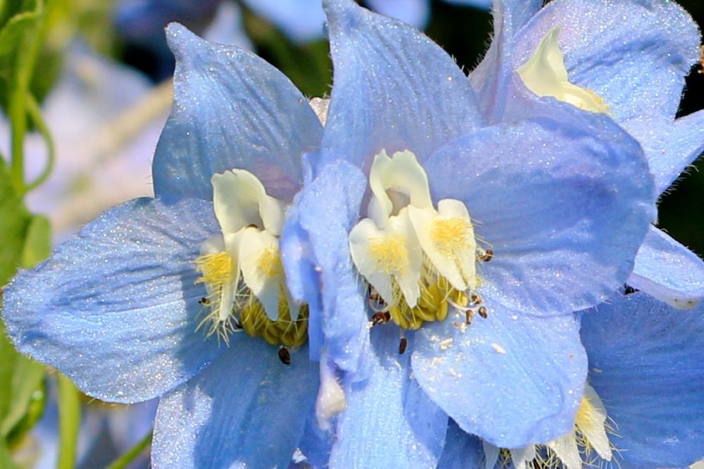 Photograph by Виталий Черепенькин