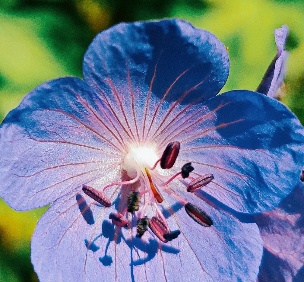 Photograph by Виталий Черепенькин