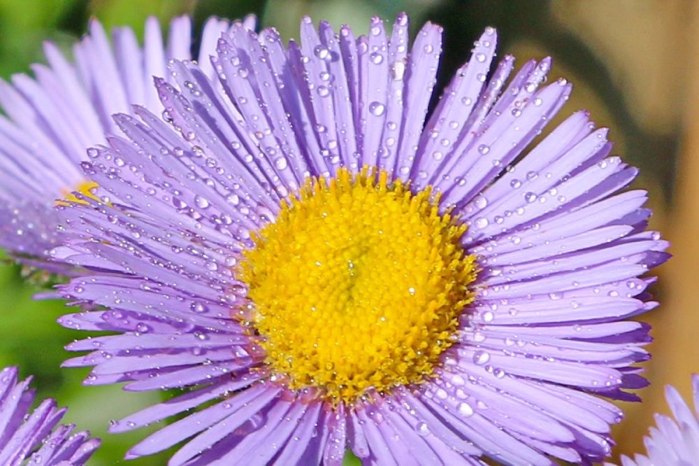 Photograph by Виталий Черепенькин