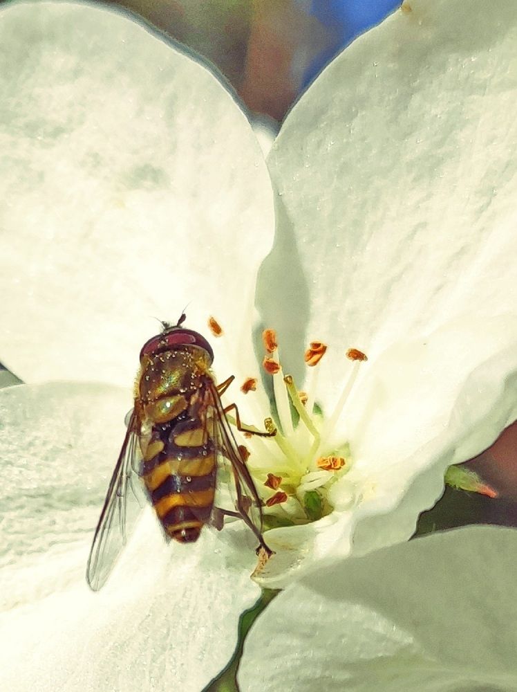 Photograph by Виталий Черепенькин