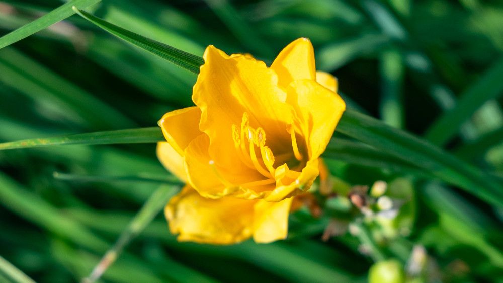 Фотография автора Владимир Оликов