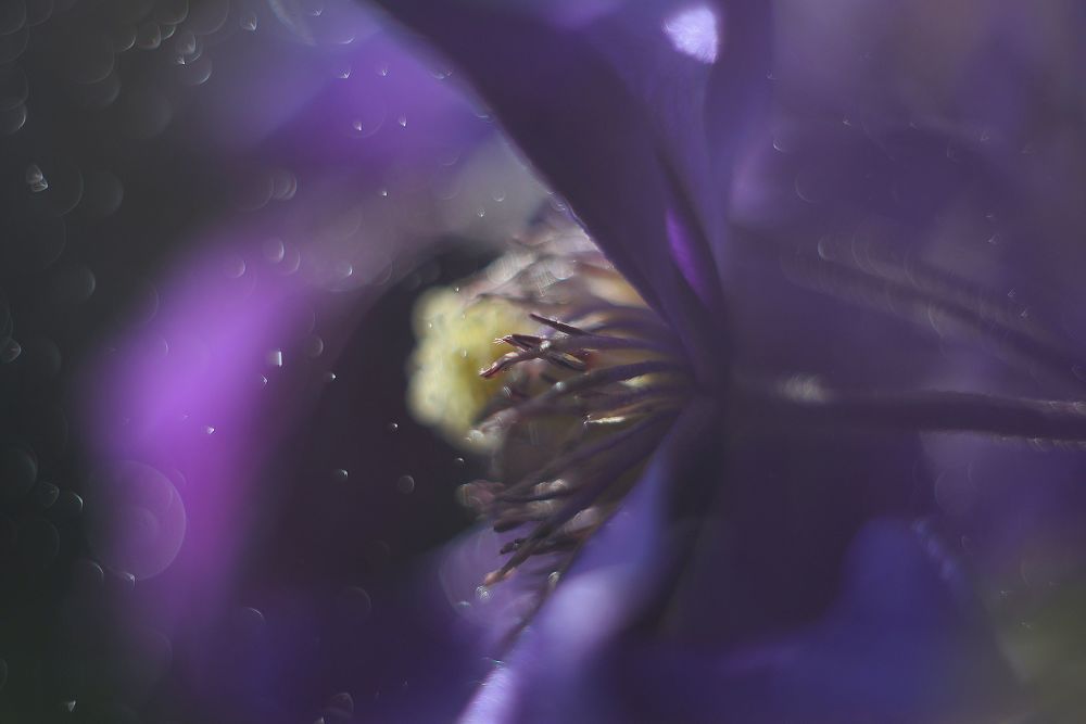 Photograph by Новкис Наталья