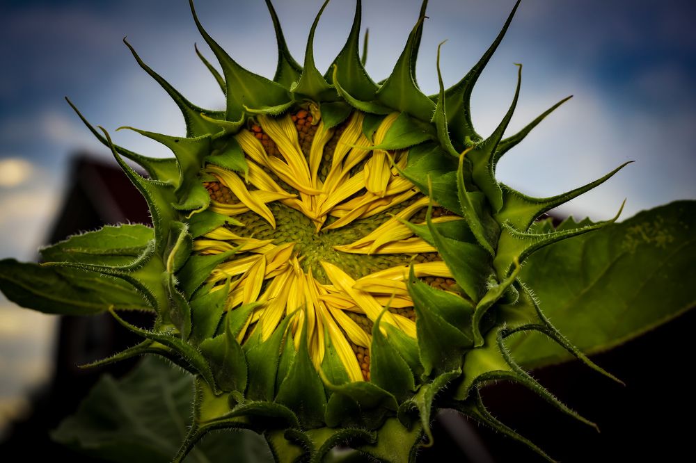 Photograph by Сергей Назаредский