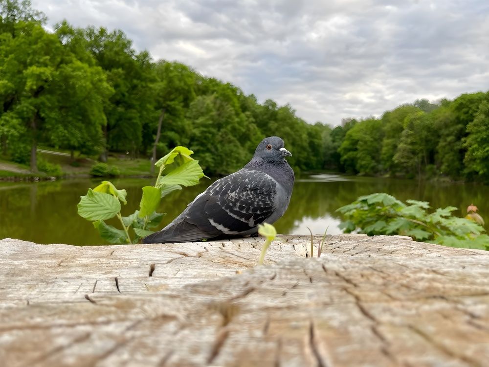 Photograph by Александр Михайлович