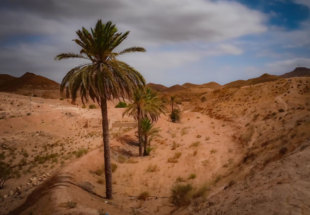 Photograph by Алексей Мякота