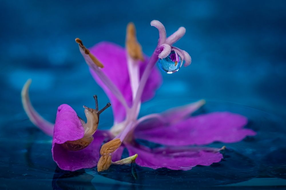 Photograph by Николай Фонарёв