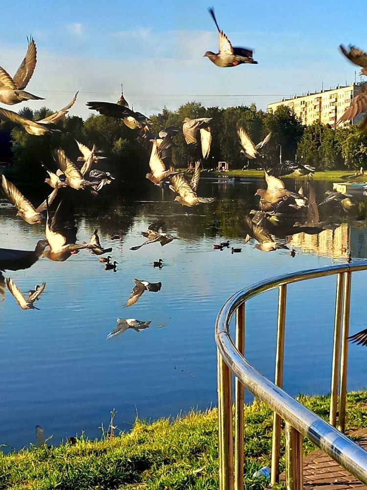 Photograph by Яна