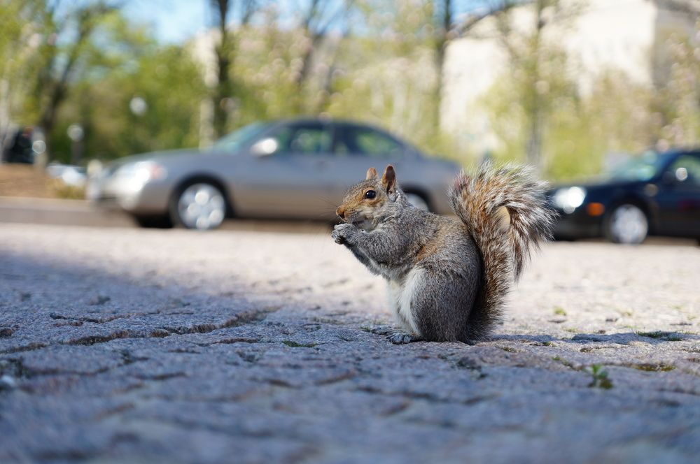 Photograph by Юрий Сычев