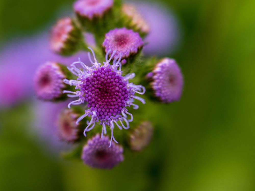 Photograph by Irina Luidinshina