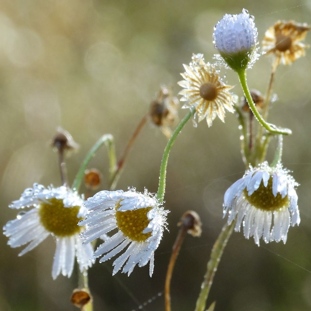 Photograph by Ирина Половцева
