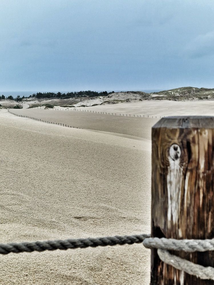 Фотография автора Maryna Pytliak