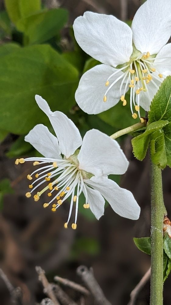 Photograph by Lilit Petrosyan