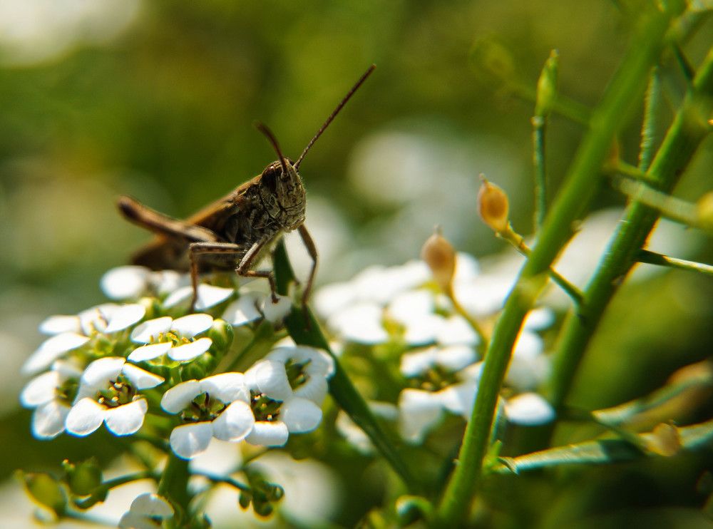 Photograph by Юрий Сычев