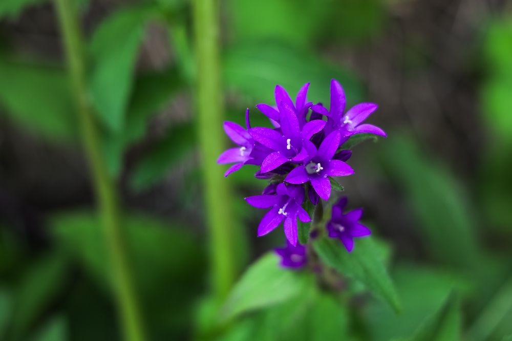 Photograph by Елена Титенская