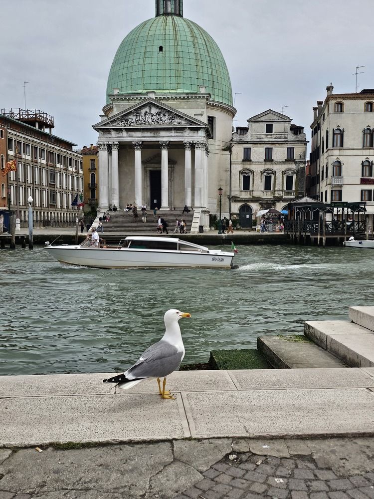 Photograph by Елена Ямнюк