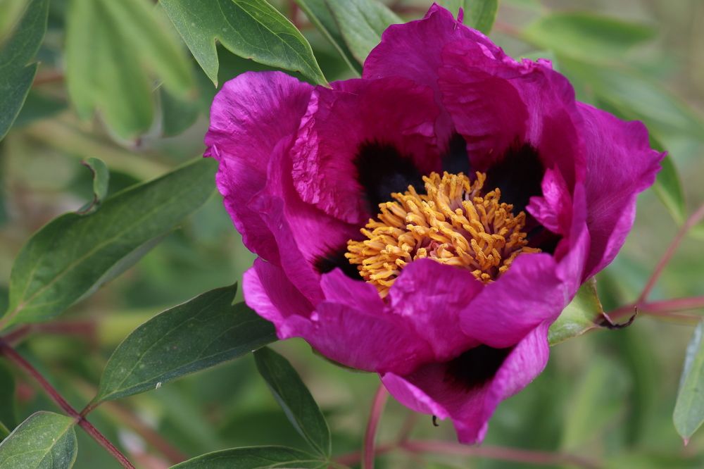 Photograph by Светлана Соколова