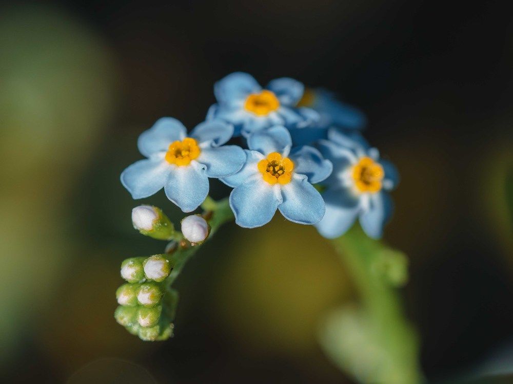 Photograph by Ирина Протченко