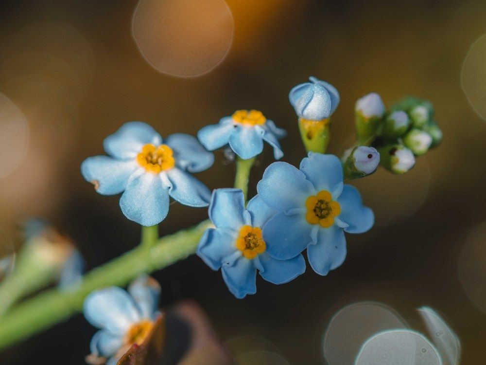 Photograph by Ирина Протченко