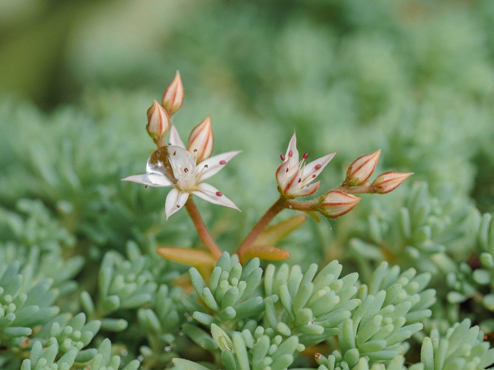 Photograph by Ирина Протченко