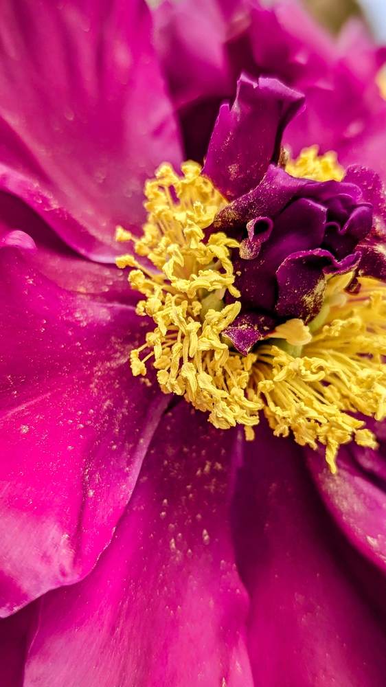 Photograph by Anastasiia