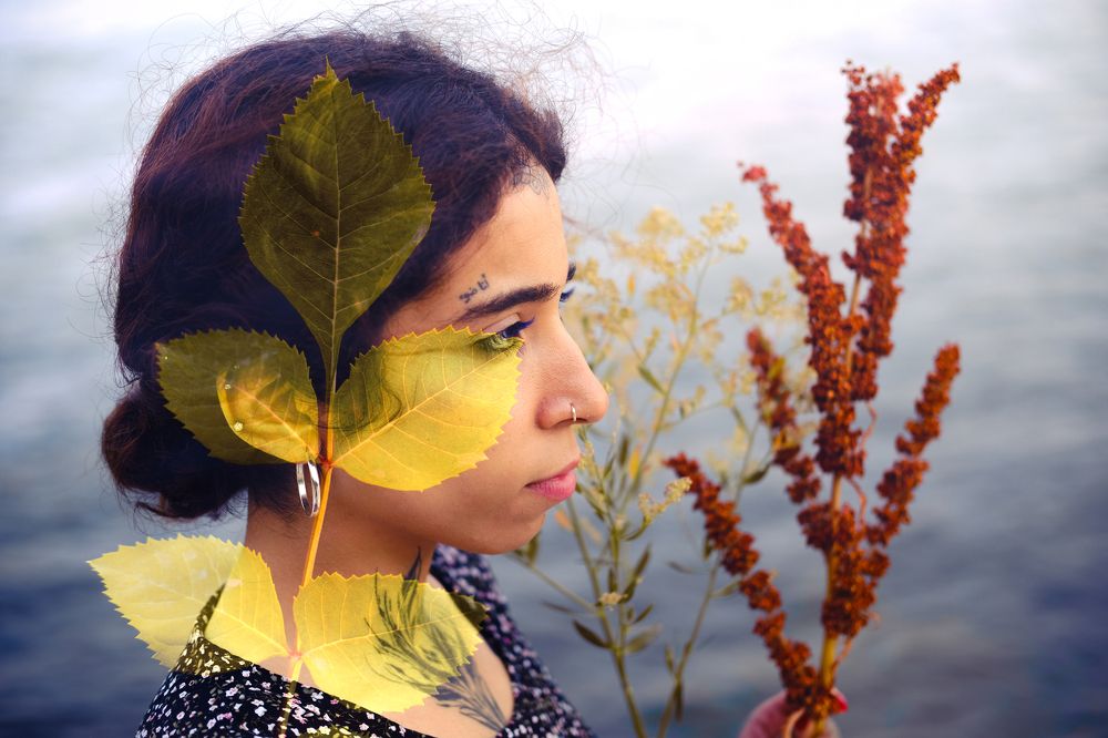 Photograph by mohammad mehdi pourorouj