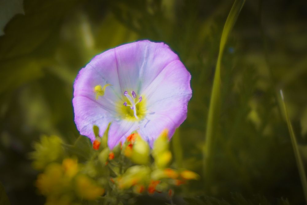 Photograph by Елена Шабельникова