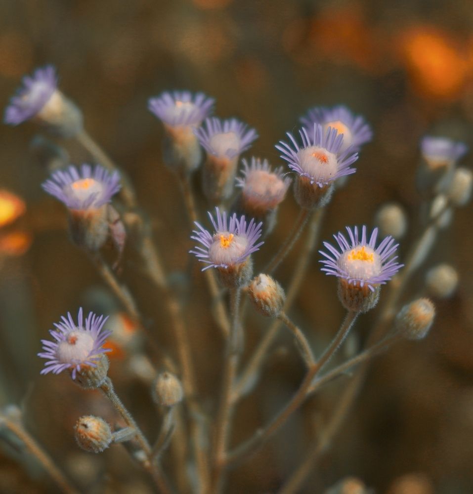 Photograph by Елена Шабельникова