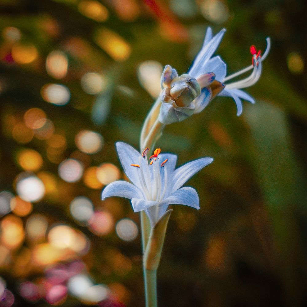 Photograph by Елена Шабельникова