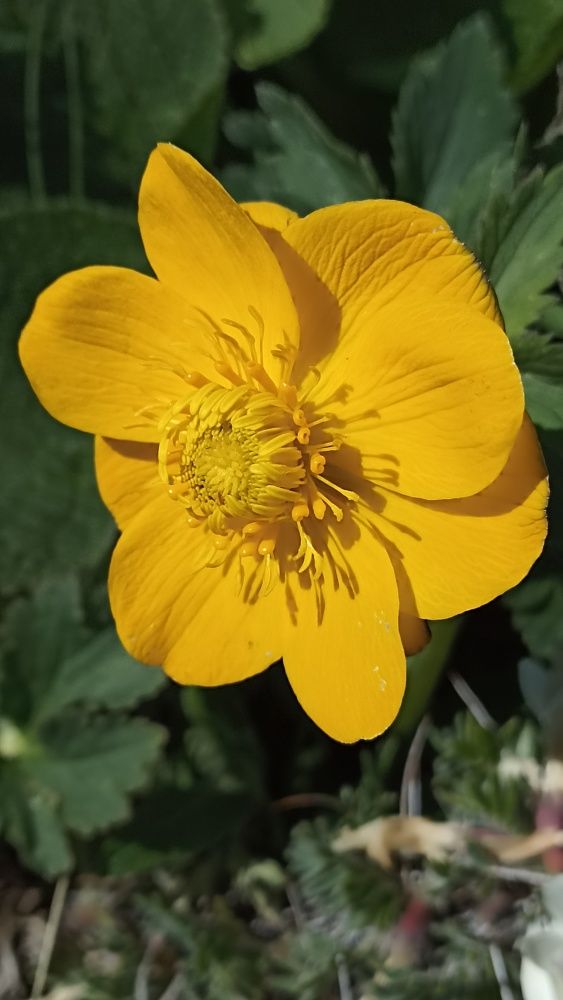 Photograph by Наиля Омарова