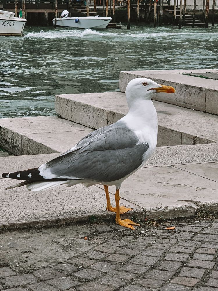 Photograph by Елена Ямнюк