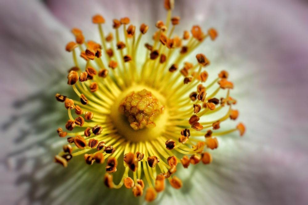 Photograph by Magic Helios