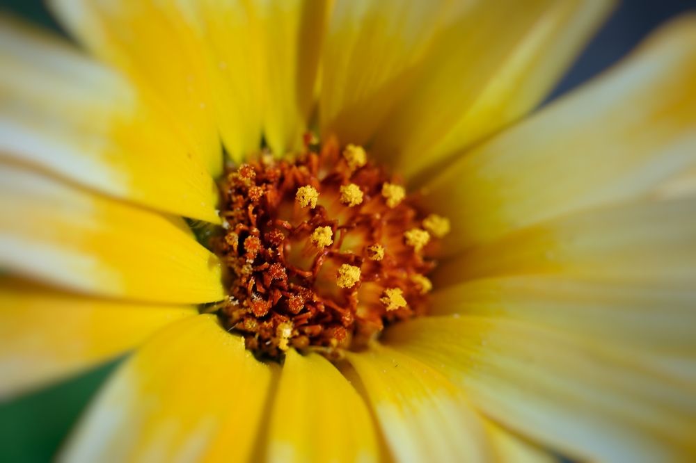 Photograph by Magic Helios