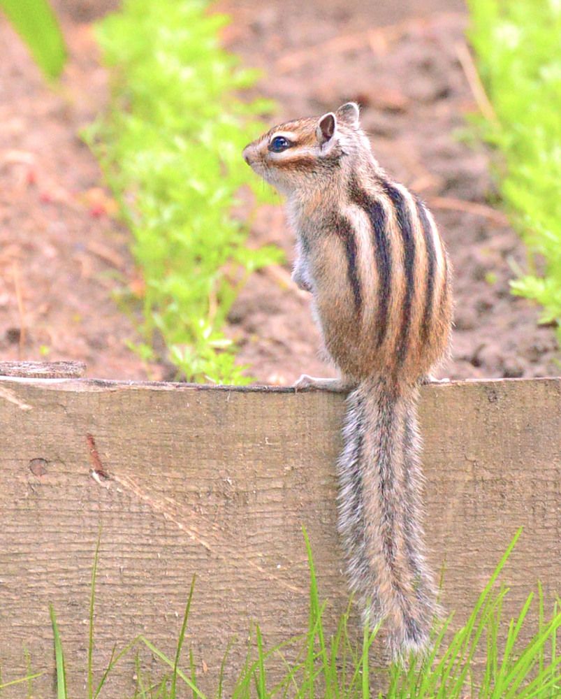 Photograph by Пушкин Сергей