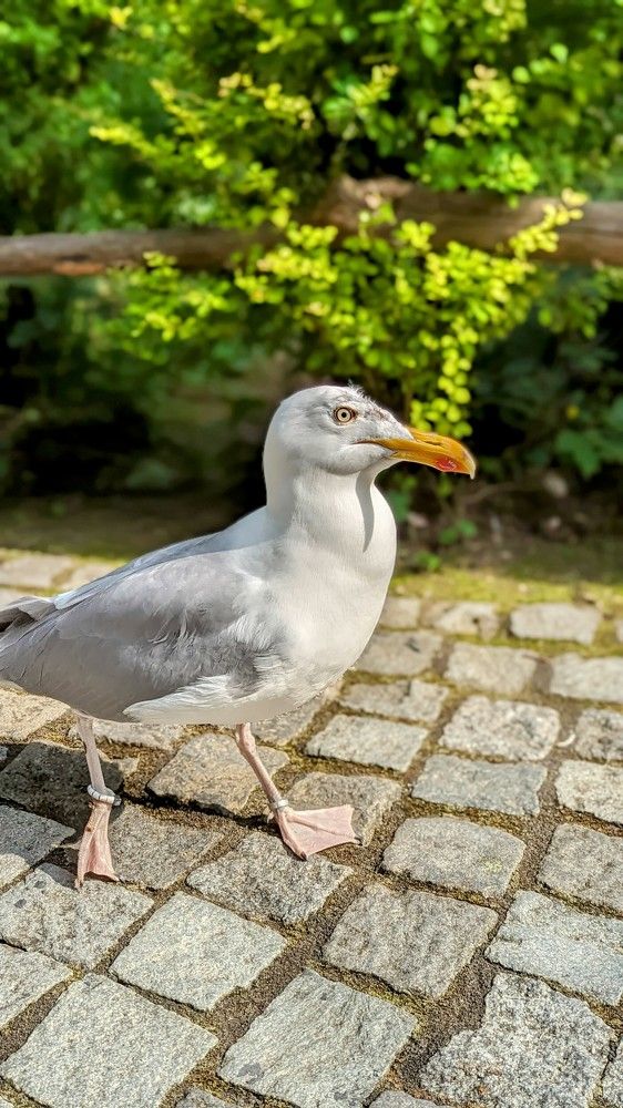 Photograph by Anastasiia