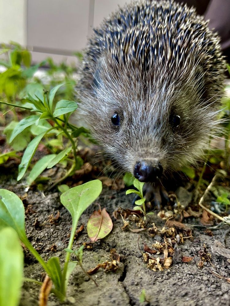 Photograph by Александр Михайлович