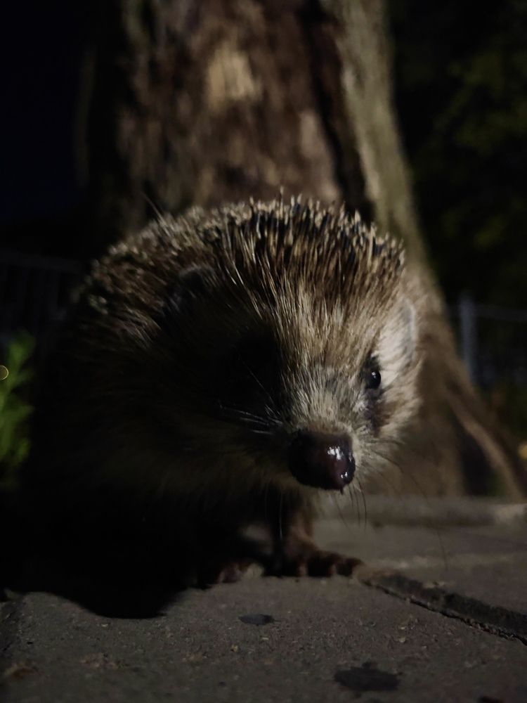 Photograph by Александр Михайлович