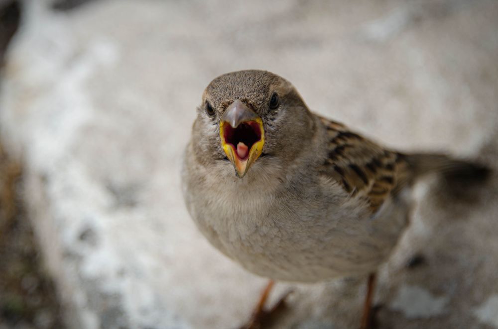 Photograph by Светлана Блинова