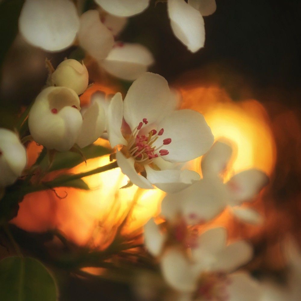 Photograph by Татьяна Максакова