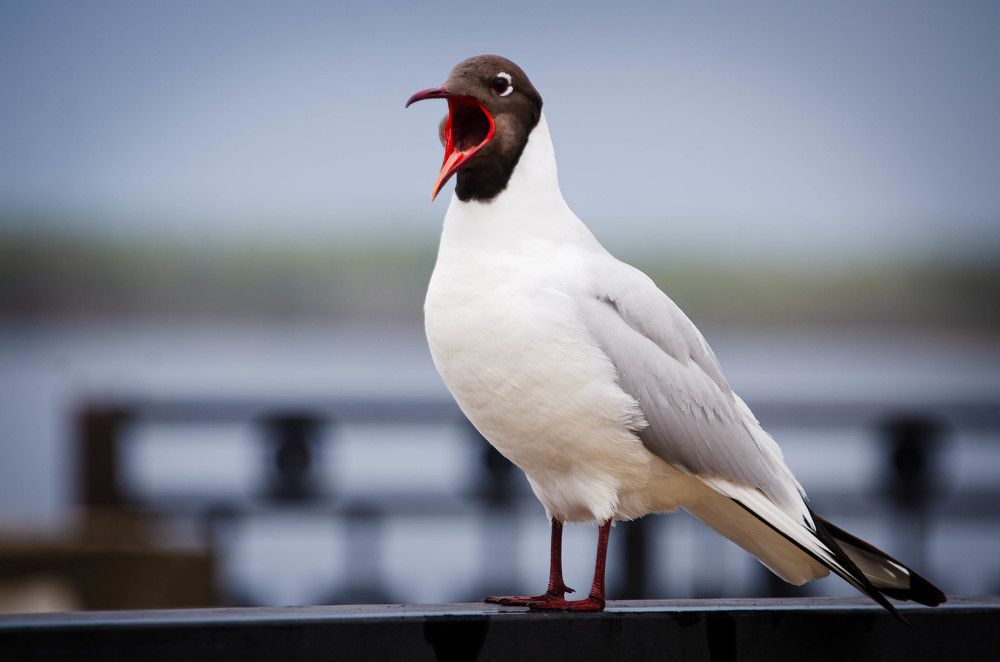 Photograph by Светлана Блинова