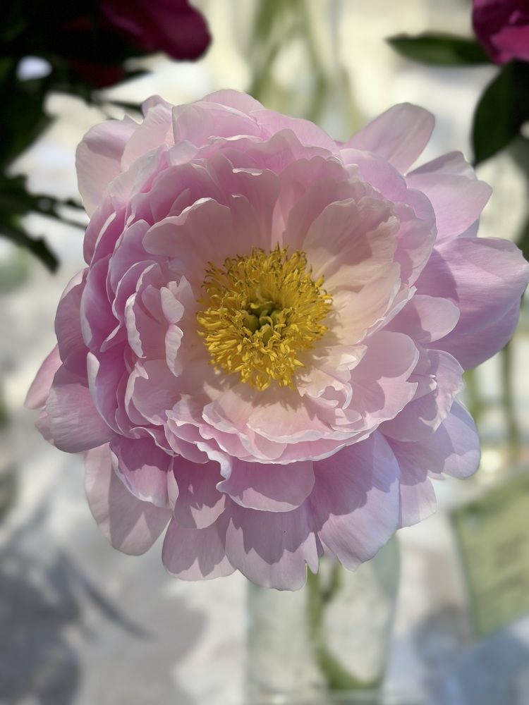 Photograph by Татьяна Казанкова