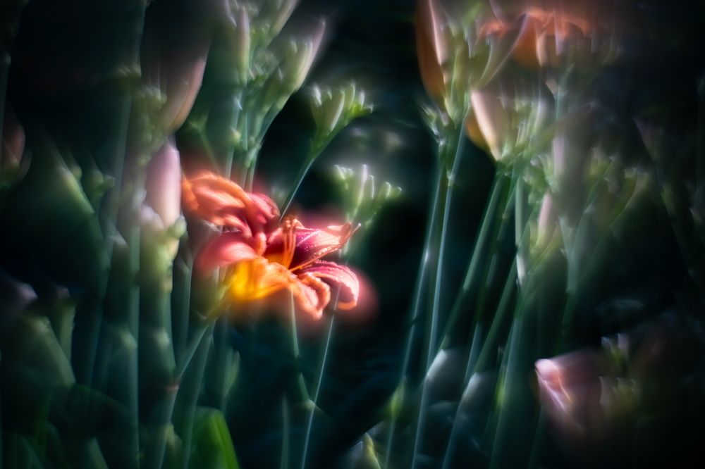 Photograph by Николай Фонарёв