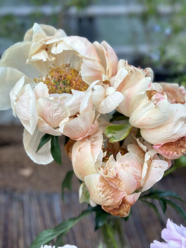 Photograph by Татьяна Казанкова