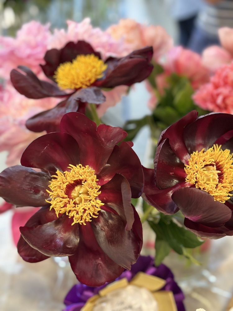 Photograph by Татьяна Казанкова