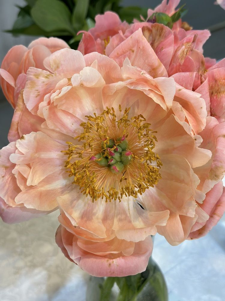 Photograph by Татьяна Казанкова