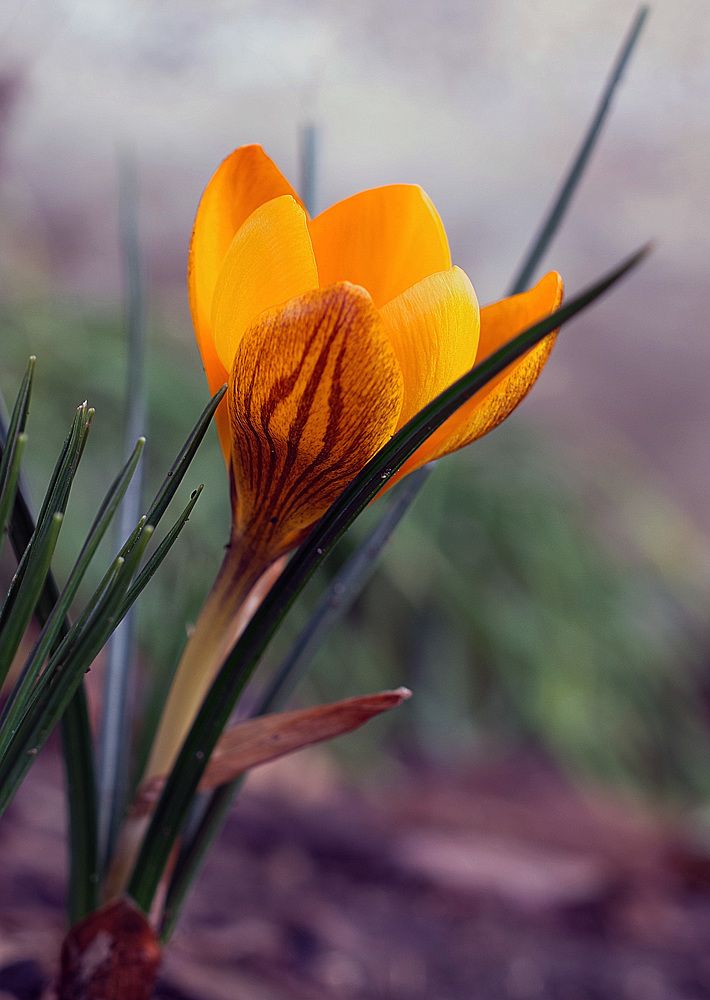 Фотография автора Сергей Гречихин
