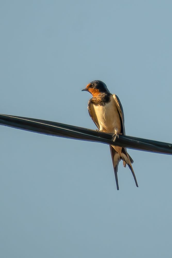 Photograph by Александр Соловьев