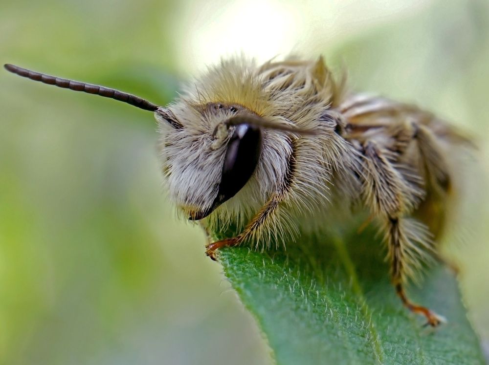 Photograph by Наталья Соколова